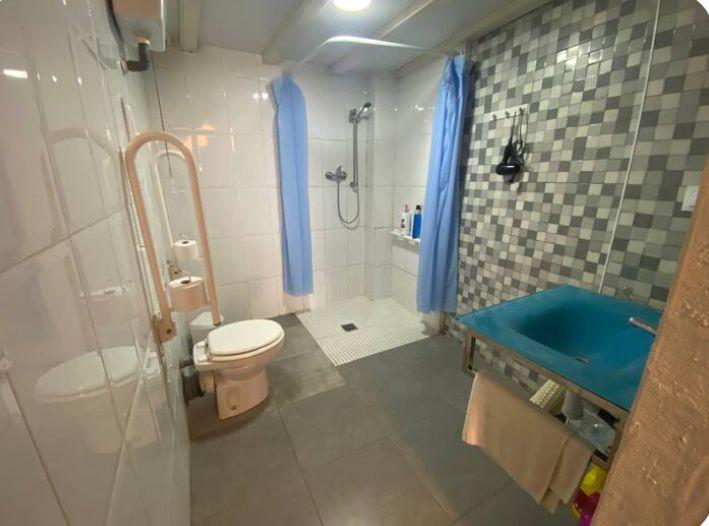 Baño adaptado con ducha y barras de apoyo